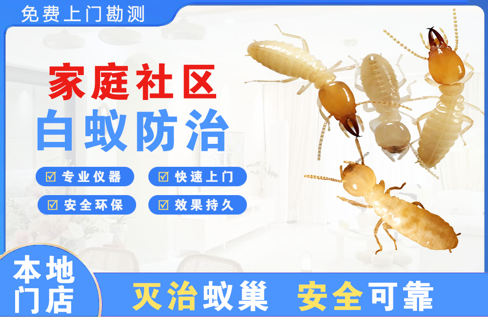岳阳家庭社区白蚁防治
