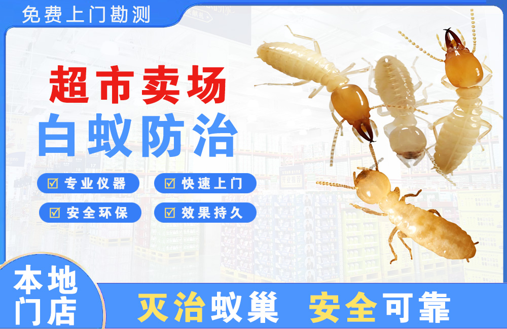 岳阳超市卖场白蚁防治