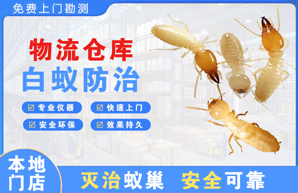 岳阳物流仓库白蚁防治