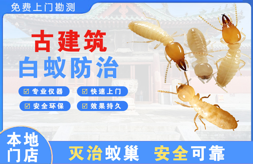 岳阳古建筑白蚁防治