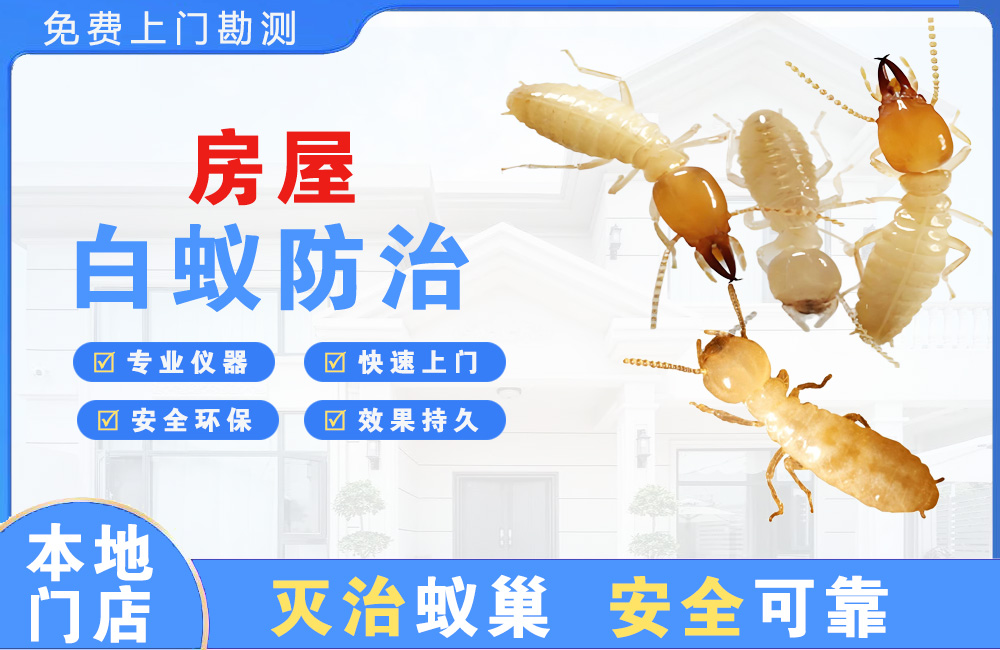 岳阳房屋白蚁防治