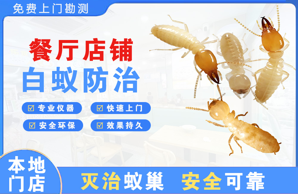 岳阳餐厅店铺白蚁防治
